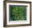 Trees and Undergrowth, c.1887-Vincent van Gogh-Framed Premium Giclee Print