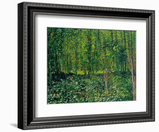 Trees and Undergrowth, c.1887-Vincent van Gogh-Framed Premium Giclee Print