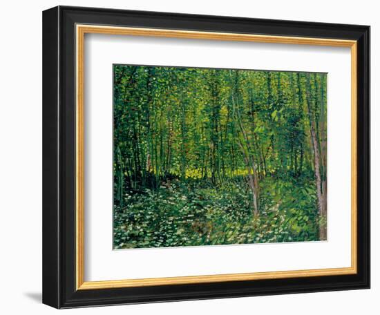 Trees and Undergrowth, c.1887-Vincent van Gogh-Framed Premium Giclee Print