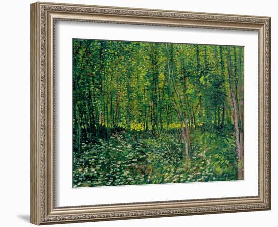 Trees and Undergrowth, c.1887-Vincent van Gogh-Framed Premium Giclee Print