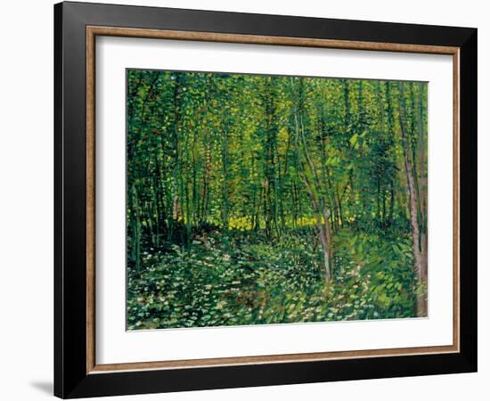 Trees and Undergrowth, c.1887-Vincent van Gogh-Framed Premium Giclee Print