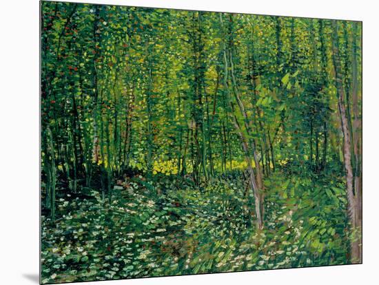 Trees and Undergrowth, c.1887-Vincent van Gogh-Mounted Premium Giclee Print