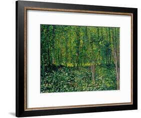 Trees and Undergrowth, c.1887-Vincent van Gogh-Framed Giclee Print