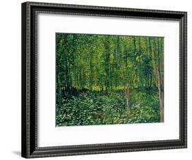 Trees and Undergrowth, c.1887-Vincent van Gogh-Framed Giclee Print