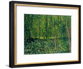 Trees and Undergrowth, c.1887-Vincent van Gogh-Framed Giclee Print