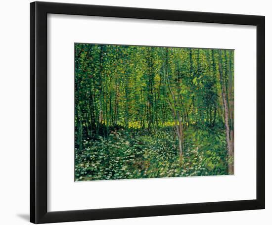 Trees and Undergrowth, c.1887-Vincent van Gogh-Framed Giclee Print