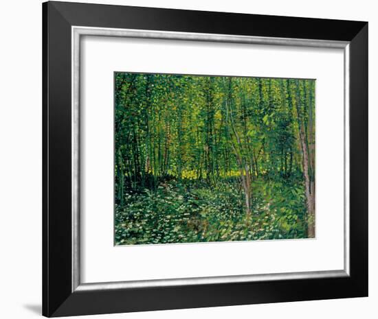 Trees and Undergrowth, c.1887-Vincent van Gogh-Framed Giclee Print