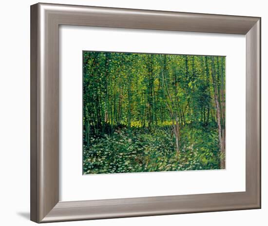 Trees and Undergrowth, c.1887-Vincent van Gogh-Framed Giclee Print