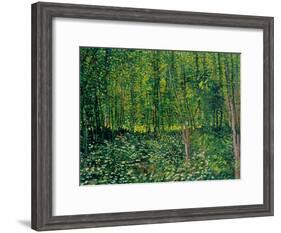 Trees and Undergrowth, c.1887-Vincent van Gogh-Framed Giclee Print