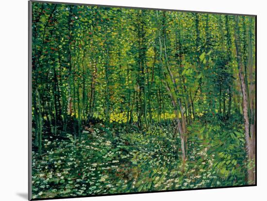 Trees and Undergrowth, c.1887-Vincent van Gogh-Mounted Giclee Print