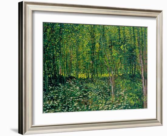 Trees and Undergrowth, c.1887-Vincent van Gogh-Framed Giclee Print