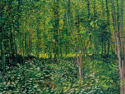 Trees and Undergrowth, c.1887' Giclee Print - Vincent van Gogh | Art.com
