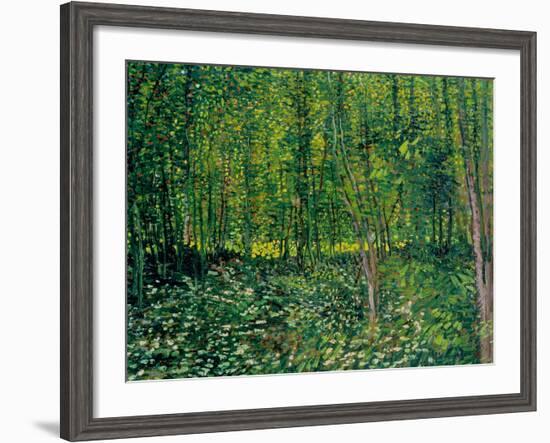 Trees and Undergrowth, c.1887-Vincent van Gogh-Framed Giclee Print