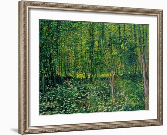 Trees and Undergrowth, c.1887-Vincent van Gogh-Framed Giclee Print