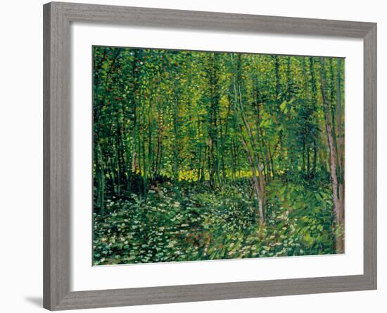 Trees and Undergrowth, c.1887-Vincent van Gogh-Framed Giclee Print