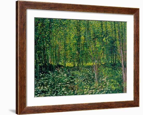 Trees and Undergrowth, c.1887-Vincent van Gogh-Framed Giclee Print