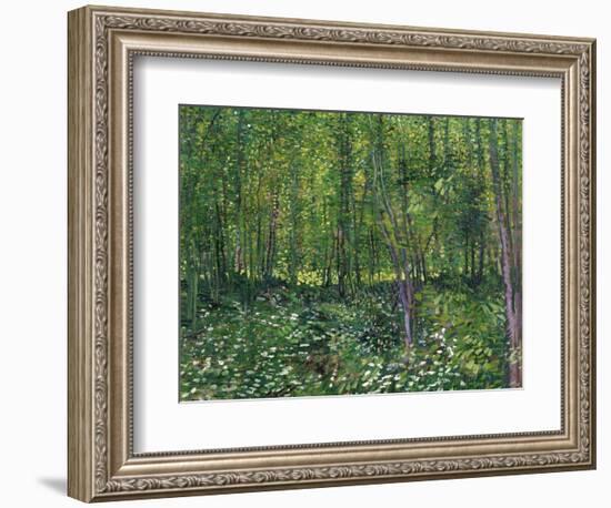 Trees and Undergrowth, c.1887-Vincent van Gogh-Framed Art Print