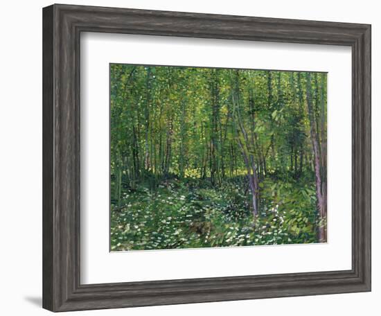 Trees and Undergrowth, c.1887-Vincent van Gogh-Framed Art Print