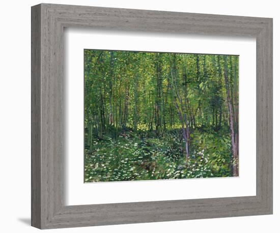 Trees and Undergrowth, c.1887-Vincent van Gogh-Framed Art Print
