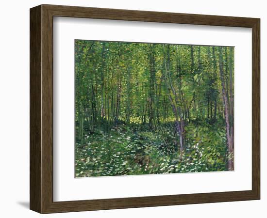 Trees and Undergrowth, c.1887-Vincent van Gogh-Framed Art Print