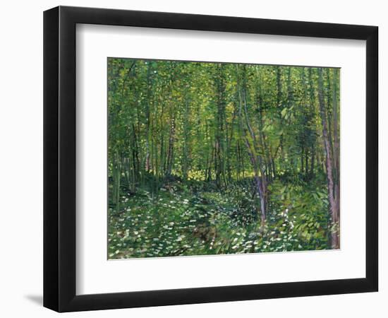 Trees and Undergrowth, c.1887-Vincent van Gogh-Framed Art Print