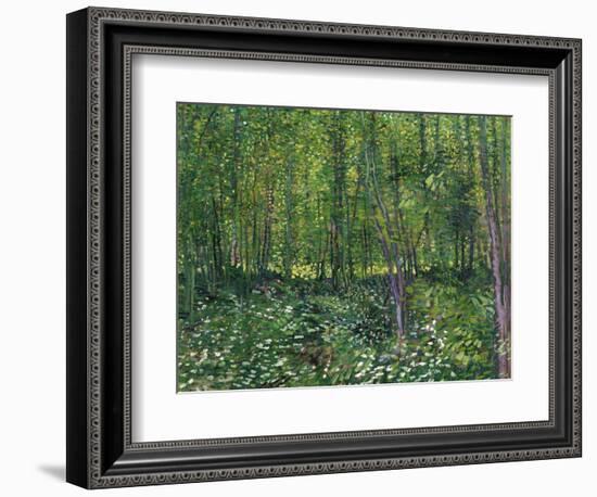 Trees and Undergrowth, c.1887-Vincent van Gogh-Framed Art Print