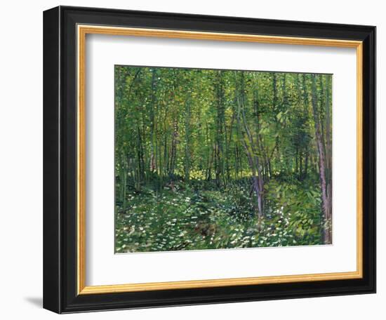 Trees and Undergrowth, c.1887-Vincent van Gogh-Framed Art Print