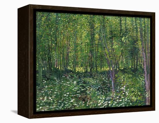 Trees and Undergrowth, c.1887-Vincent van Gogh-Framed Stretched Canvas