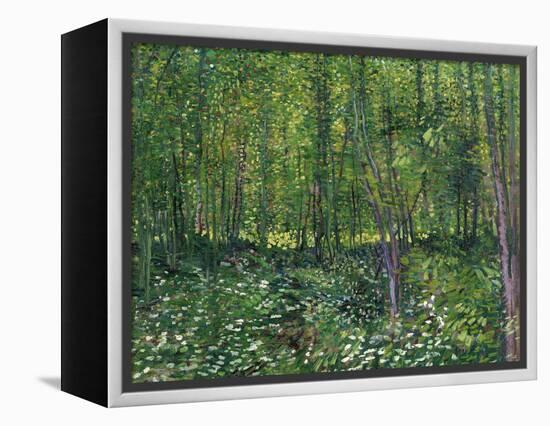 Trees and Undergrowth, c.1887-Vincent van Gogh-Framed Stretched Canvas