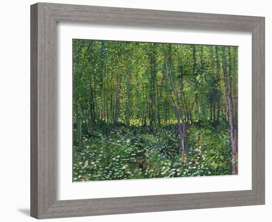 Trees and Undergrowth, c.1887-Vincent van Gogh-Framed Art Print