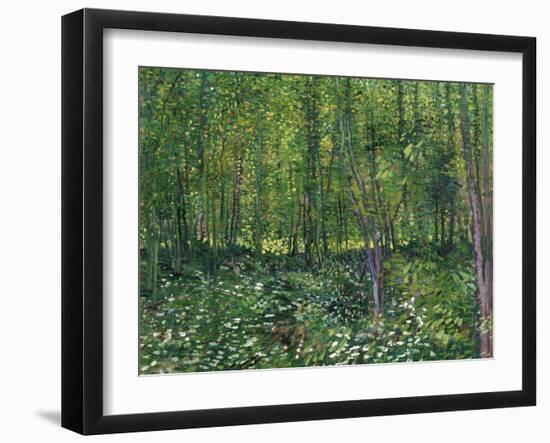 Trees and Undergrowth, c.1887-Vincent van Gogh-Framed Art Print