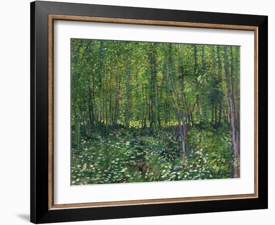 Trees and Undergrowth, c.1887-Vincent van Gogh-Framed Art Print