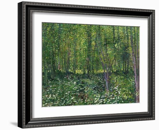 Trees and Undergrowth, c.1887-Vincent van Gogh-Framed Art Print