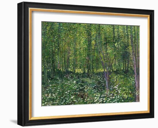 Trees and Undergrowth, c.1887-Vincent van Gogh-Framed Art Print