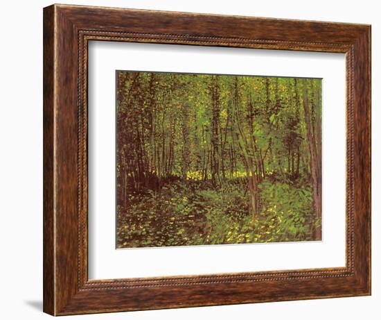 Trees and Undergrowth, c.1887-Vincent van Gogh-Framed Giclee Print