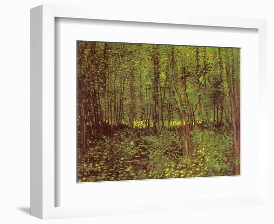 Trees and Undergrowth, c.1887-Vincent van Gogh-Framed Giclee Print