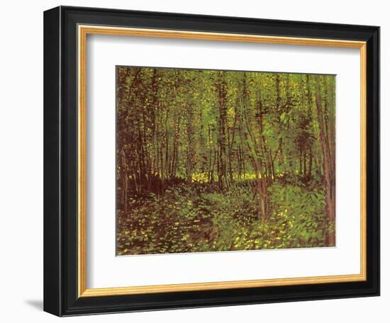 Trees and Undergrowth, c.1887-Vincent van Gogh-Framed Giclee Print