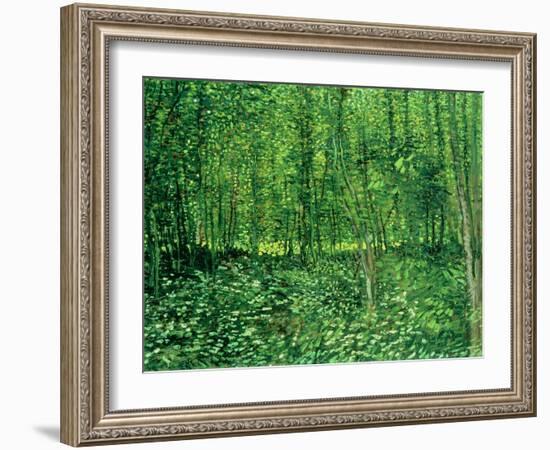 Trees and Undergrowth, c.1887-Vincent van Gogh-Framed Giclee Print