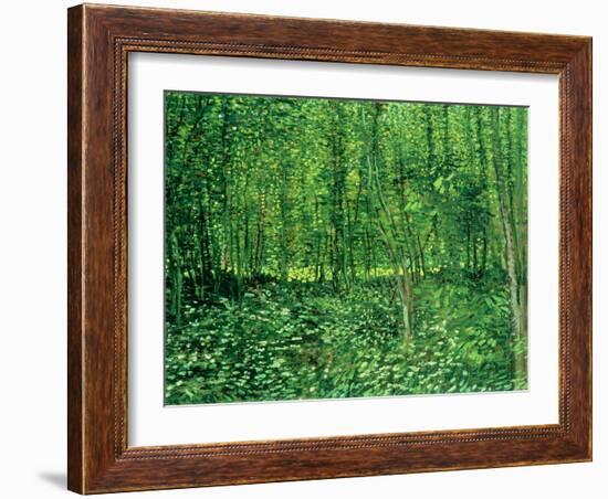 Trees and Undergrowth, c.1887-Vincent van Gogh-Framed Giclee Print