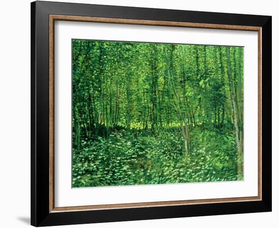 Trees and Undergrowth, c.1887-Vincent van Gogh-Framed Giclee Print