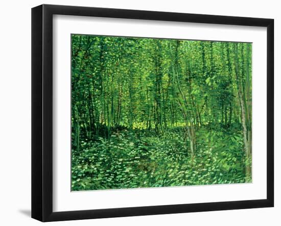 Trees and Undergrowth, c.1887-Vincent van Gogh-Framed Giclee Print