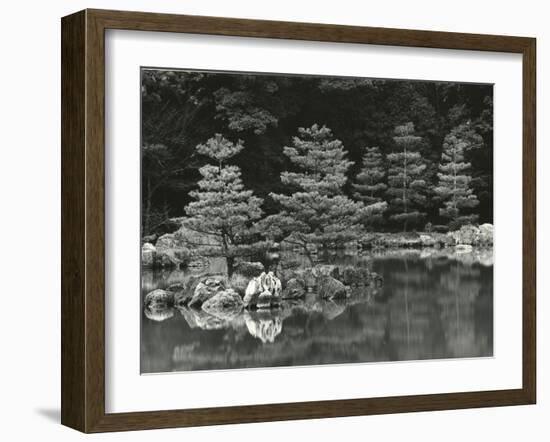 Trees and Water, Japan, 1970-Brett Weston-Framed Photographic Print