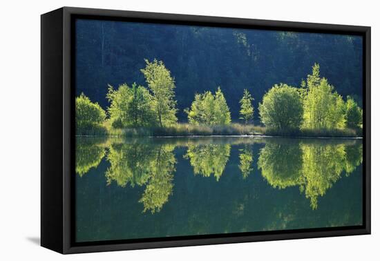 Trees are Reflected a Lake of the Former Diatomite Pits-Uwe Steffens-Framed Premier Image Canvas