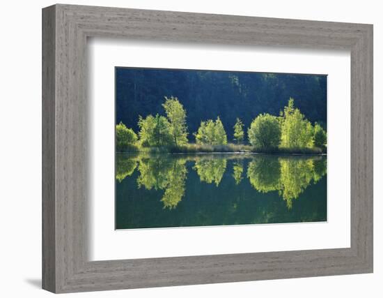 Trees are Reflected a Lake of the Former Diatomite Pits-Uwe Steffens-Framed Photographic Print