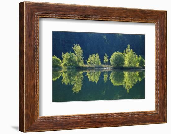 Trees are Reflected a Lake of the Former Diatomite Pits-Uwe Steffens-Framed Photographic Print