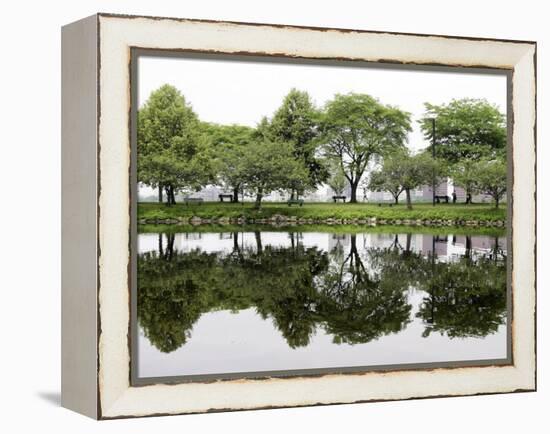 Trees are Reflected in Still Water on the Esplanade Along the Charles River in Boston-null-Framed Premier Image Canvas