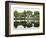 Trees are Reflected in Still Water on the Esplanade Along the Charles River in Boston-null-Framed Photographic Print