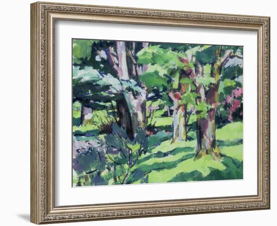 Trees at Auchinleck, Ayrshire-Francis Campbell Boileau Cadell-Framed Giclee Print