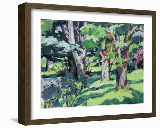 Trees at Auchinleck, Ayrshire-Francis Campbell Boileau Cadell-Framed Giclee Print