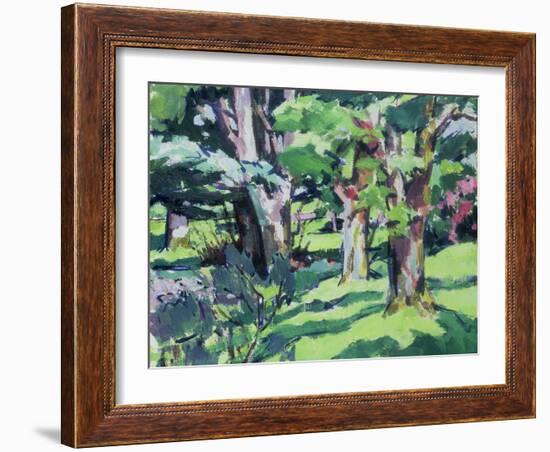 Trees at Auchinleck, Ayrshire-Francis Campbell Boileau Cadell-Framed Giclee Print